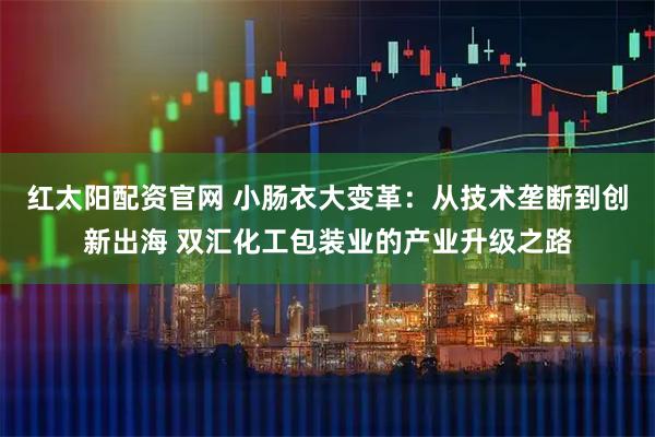 红太阳配资官网 小肠衣大变革：从技术垄断到创新出海 双汇化工包装业的产业升级之路