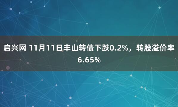 启兴网 11月11日丰山转债下跌0.2%,转股溢价率6.65%
