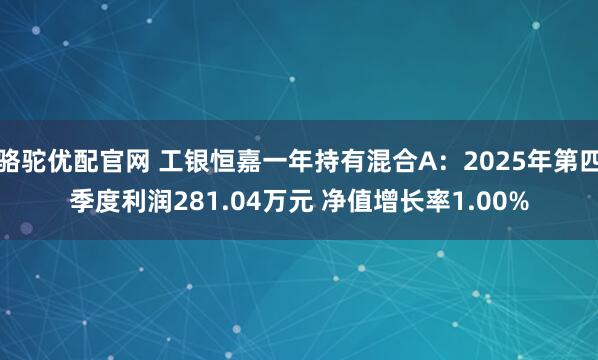 骆驼优配官网 工银恒嘉一年持有混合A：2025年第四季度利润281.04万元 净值增长率1.00%