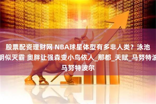 股票配资理财网 NBA球星体型有多非人类？泳池姚明似灭霸 奥胖让强森变小鸟依人_那都_天赋_马努特波尔