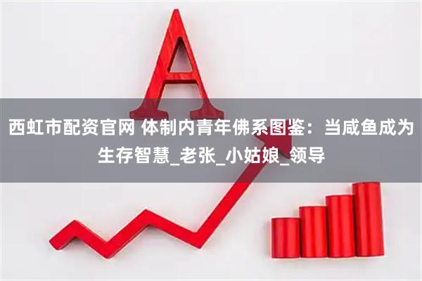 西虹市配资官网 体制内青年佛系图鉴：当咸鱼成为生存智慧_老张_小姑娘_领导